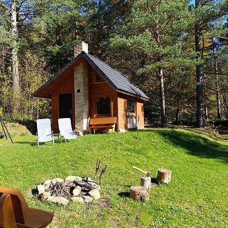 Survivalowa Chata W Lesie Bukowsko Exterior foto