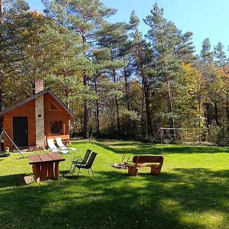 Survivalowa Chata W Lesie Bukowsko Exterior foto