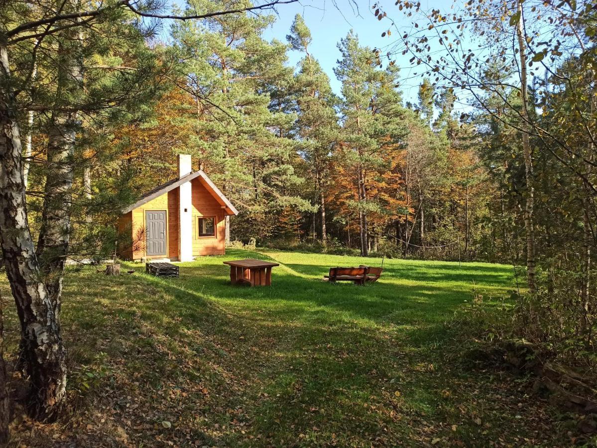 Survivalowa Chata W Lesie Bukowsko Exterior foto
