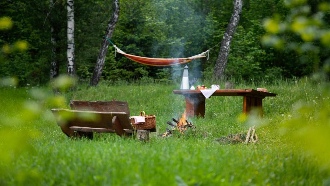 Survivalowa Chata W Lesie Bukowsko Exterior foto