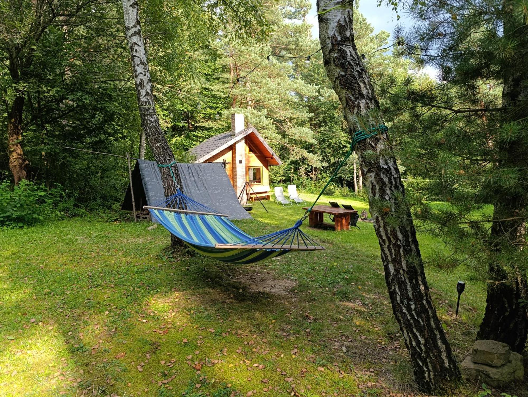 Survivalowa Chata W Lesie Bukowsko Exterior foto